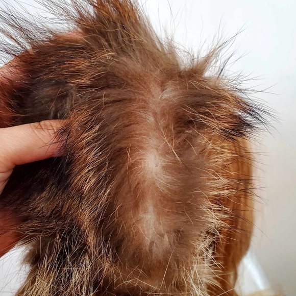 Real fur headband - Picture 5 of 11